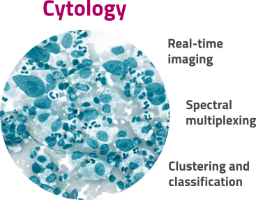Cytology