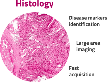 Histology